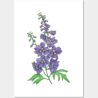 Delphinium Posters and Art